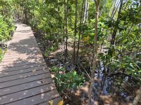 Wanderung auf  Curieuse