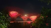 Große Rundreise Neuseeland: Die Lichtershow im Gardens by the Bay in Singapur. 
