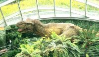 Große Rundreise Neuseeland: Die Cloud Forest Ausstellung in Singapur. 