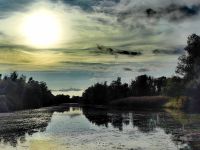 Abendstimmung im Donaudelta