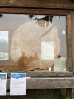 Baumscheibe einer ca. 200Jahre alte Fichte