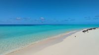 Michaelmas Cay, Great Barrier Reef 