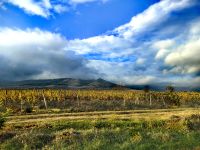Wir verlassen das Donaudelta und der Wein hängt in den Wolken