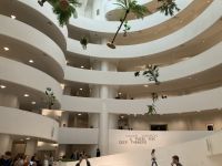 Lobby Guggenheim Museum … immer im Kreise herum …