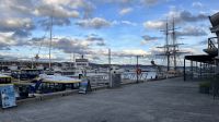 Hafen von Hobart