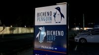 Pinguinbeobachtung in Bicheno