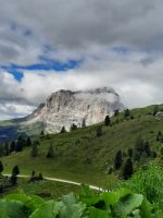 Blick auf Rosengarten