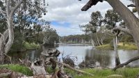 Duck Lagoon
