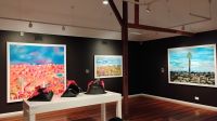 Art Gallery, Cairns 