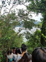 Halong-Bucht (Ti Top-Insel - Weg vom/zum Aussichtspunkt...)