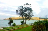 Große Rundreise Neuseeland: Die Küste in der Nähe von Paihia.