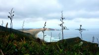 Große Rundreise Neuseeland: Cape Reinga.