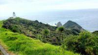 Große Rundreise Neuseeland: Cape Reinga.