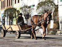 Pferdekutsche in Biertan