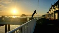 Große Rundreise Neuseeland: Paihia Pier.