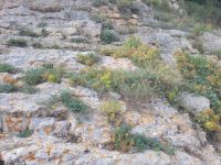 Vignanotica Strand/Gargano/Apulien/Italien