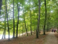 Foresta Umbra/Gargano/Apulien/Italien