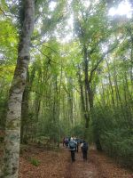 Foresta Umbra/Gargano/Apulien/Italien