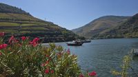 Pinhao am Douro 