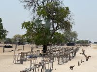 Holzmarkt auf der B1