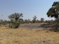 Ausgetrockneter Elefantenpool