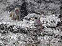 Dschunkenfahrt in der Ha Long-Bucht (36)