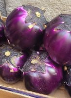 Auberginen/Bari/Apulien/Italien