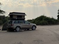 vorwitzige Besucher im Chobe NP
