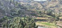 95 Colca Lodge Spa  & Hot Springs