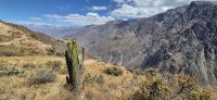 107 Wanderung am Colca Canyon