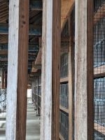 88) Haeinsa Tempel, Südkorea