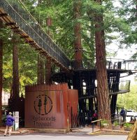 Große Rundreise Neuseeland: Redwood Wald.