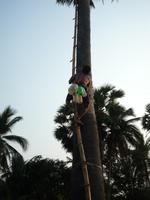 Im typischen Dorf (4)