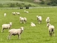 Kein seltenes Bild😂