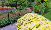 Butchart Gardens auf Vancouver Island