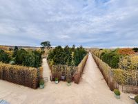 Klassisches Paris - Versailles 