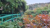 Japanische Brücke in Monets Garten Giverny