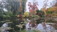 Herbststimmung am Seerosenteich Giverny