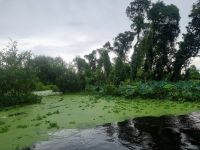 Mekong-Delta (Landschaftsschutzgebiet 