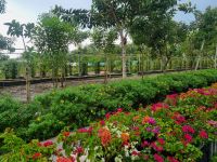 Mekong-Delta (Landschaftsschutzgebiet 