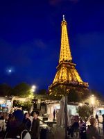 Klassisches Paris - Bootsfahrt auf der Seine