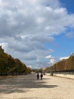 Spaziergang durch den Jardin des Tuileries