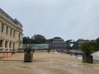 Im botanischen Garten