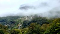 Große Rundreise Neuseeland: Regenwald nahe Milford Sound. 