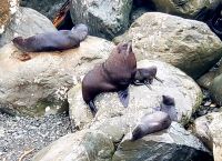 Große Rundreise Neuseeland: Ohau Lookout Point.