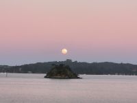 Vollmond in Paihia