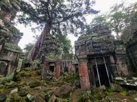 Siem Reap (Tempel 