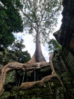 Siem Reap (Tempel 
