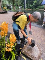 Alvin und die Muskatnuß 