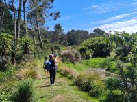 Wanderung auf der Coromandel Halbinsel
